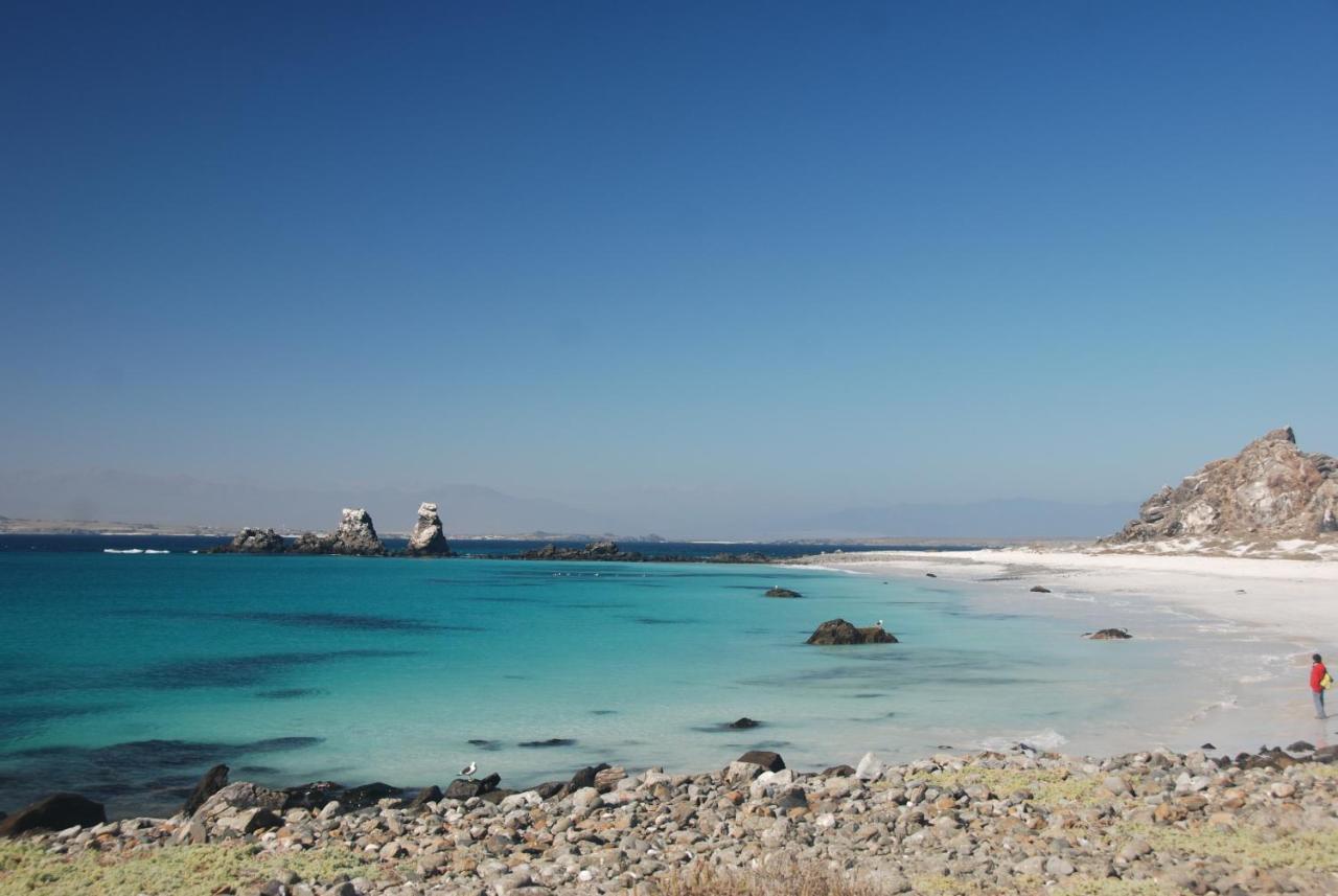 Cabanas Las Hualas Punta de Choros Kültér fotó